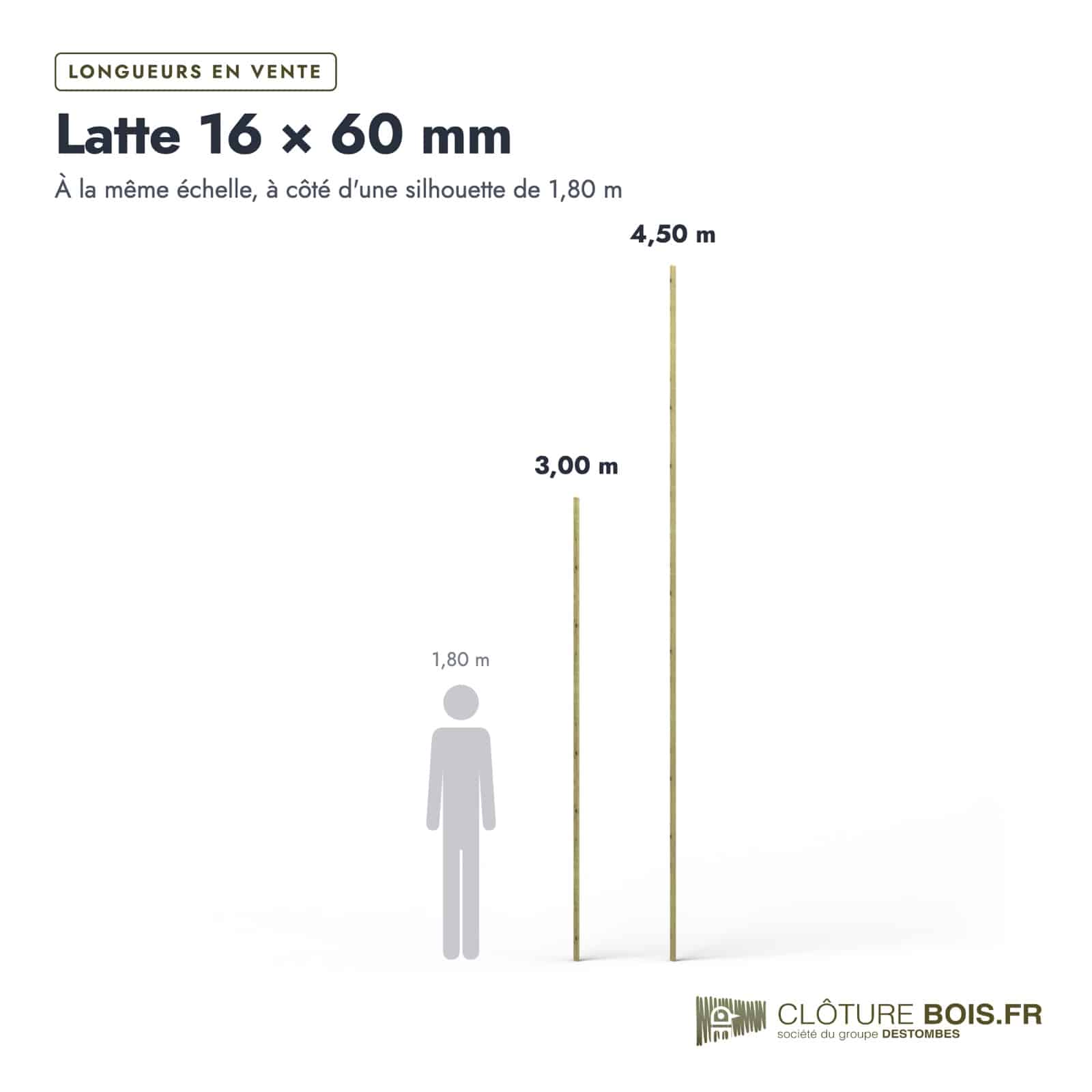 Latte autoclave 16x60 en pin sylvestre raboté : longueurs à l’échelle