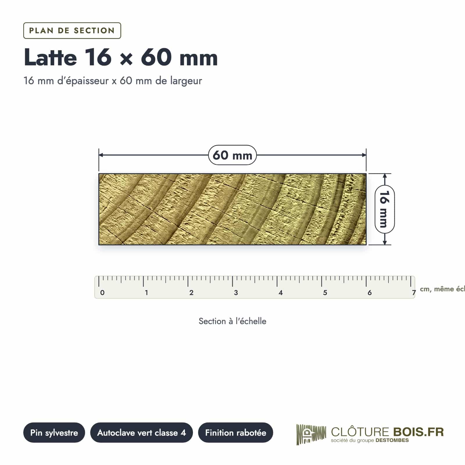 Latte autoclave 16x60 en pin sylvestre raboté : plan de section coté