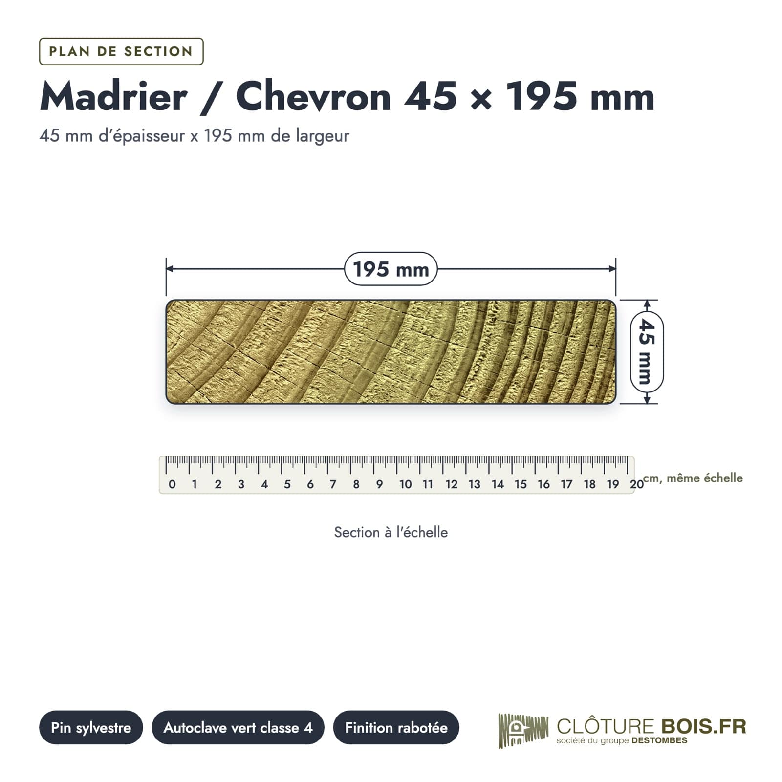 Plan de section coté, sur le vrai bois de bout