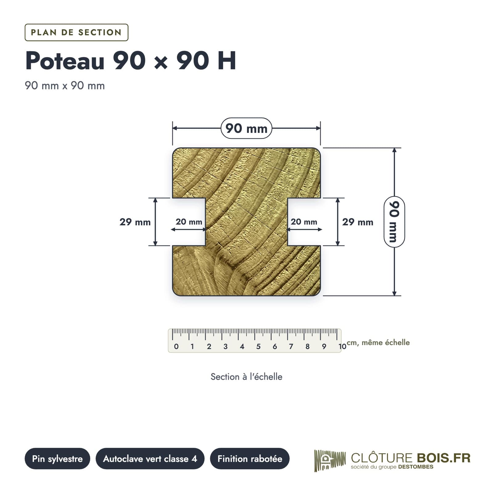 Plan de section coté, sur le vrai bois de bout