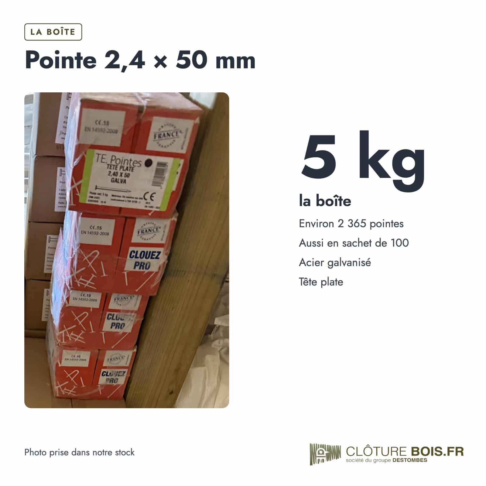 Pointes galvanisées 2,4x50 à tête plate, boîte de 5 kg ou sachet de 100 : boite ou ensemble