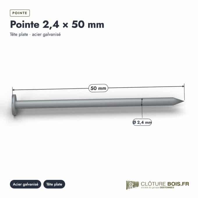 Pointes galvanisées 2,4x50 à tête plate, boîte de 5 kg ou sachet de 100 : piece cotee