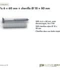 Vis et cheville 6x60 Torx T30, boîte de 200 vis et 200 chevilles nylon : boite ou ensemble
