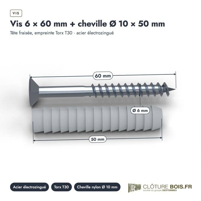 Vis et cheville 6x60 Torx T30, boîte de 200 vis et 200 chevilles nylon : piece cotee